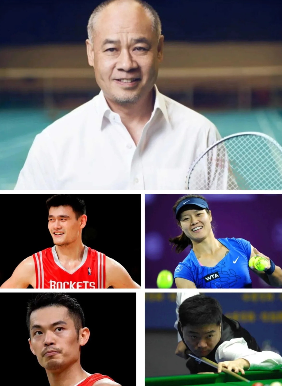 体育巨星集体亮相,共同争夺荣誉的简单介绍 体育巨星集体亮相,共同争夺荣誉的简单介绍